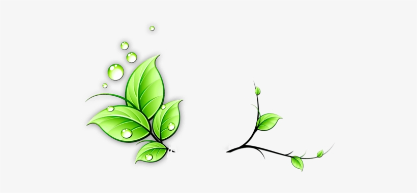 Vines Transparent Png Pictures Free Icons And Png - Green Vine Png, transparent png download