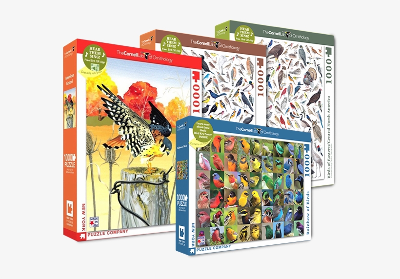 Birds Of North America Puzzles - Birds Of North America, transparent png download