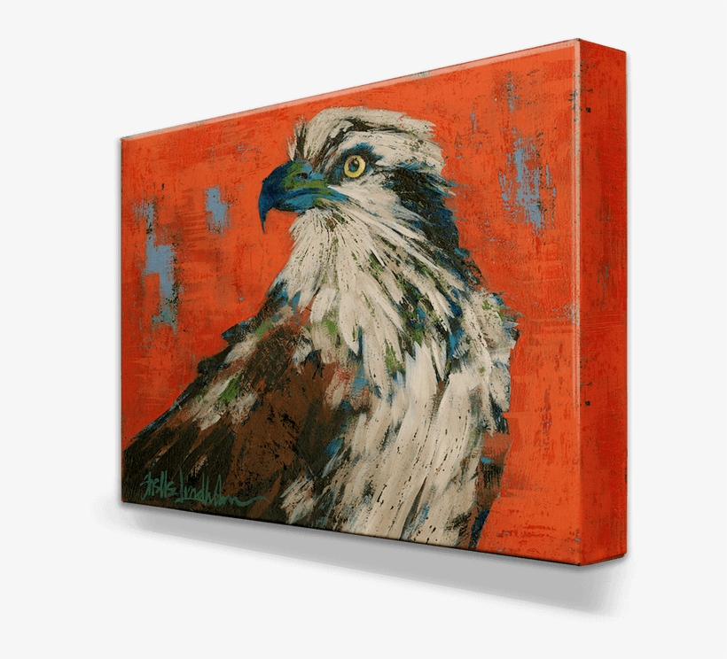 Shop - - Osprey, transparent png download