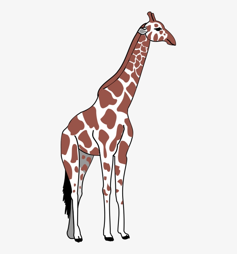 Cute Giraffe Design Source - Giraffe Iphone 6 Tough Case, transparent png download
