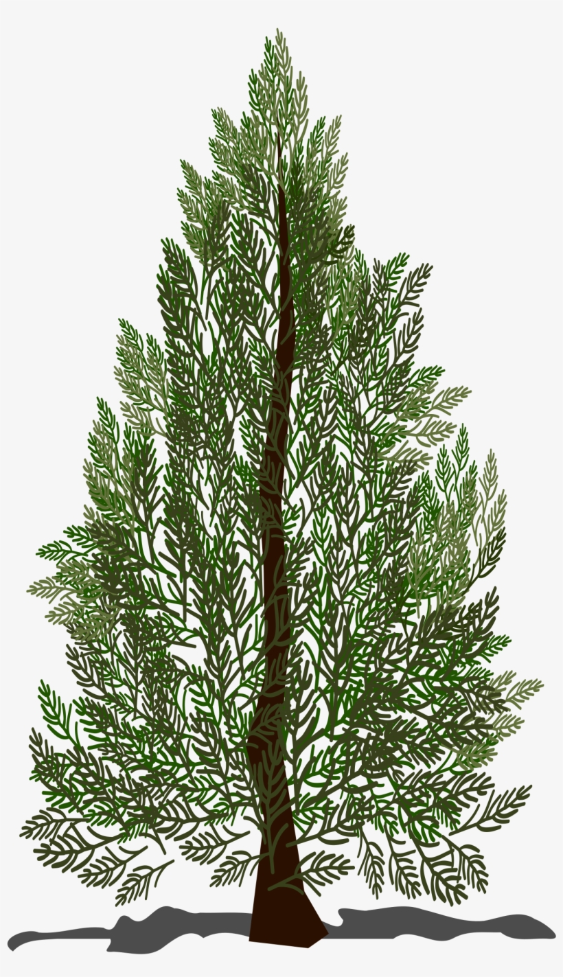 Pine Tree Jpg Freeuse - Artificial Christmas Tree, transparent png download