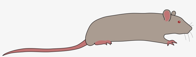 This Free Icons Png Design Of Rat By Rones, transparent png download
