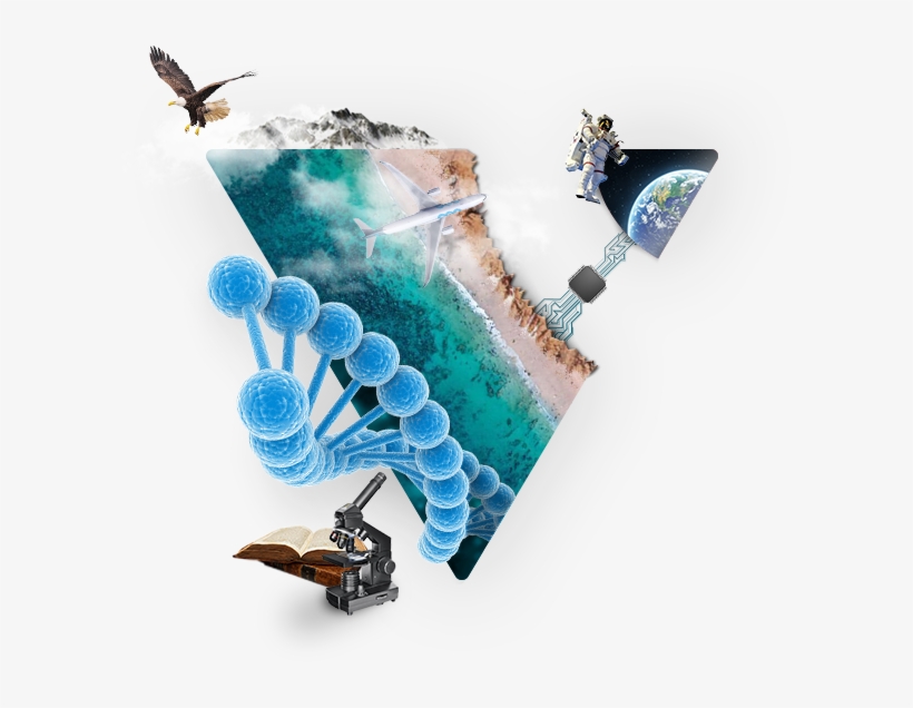 Veruscript Multi-disciplines Journals - Veruscript, transparent png download