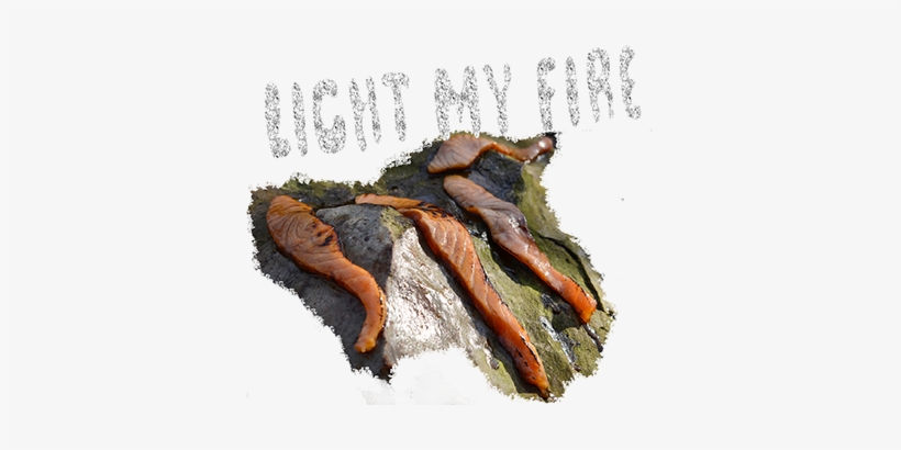 De Gauche À Droite, - Carrot, transparent png download