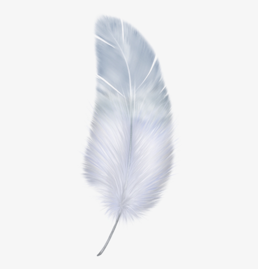 Feather Png - Portable Network Graphics, transparent png download