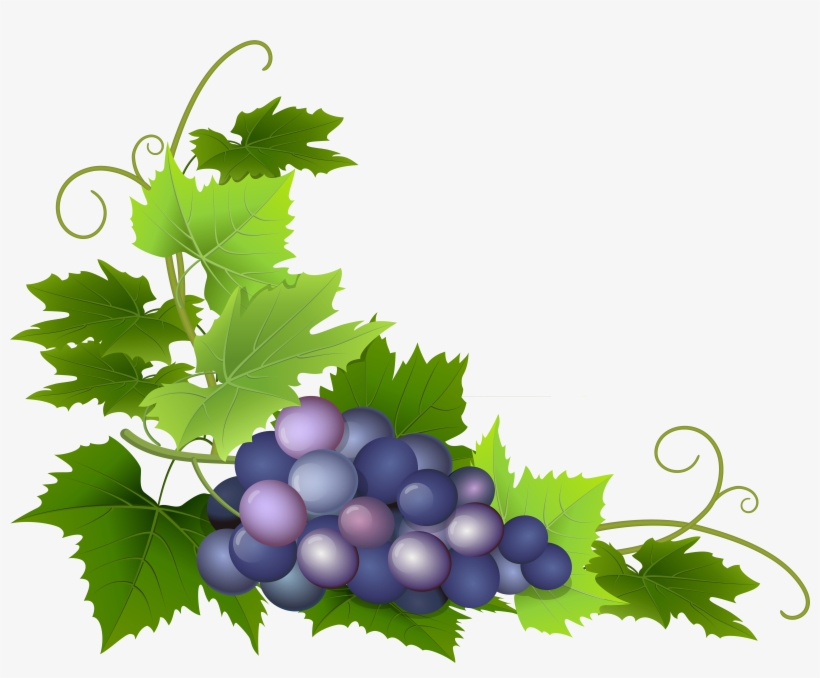 Grape Clipart Grape Leaf, transparent png download