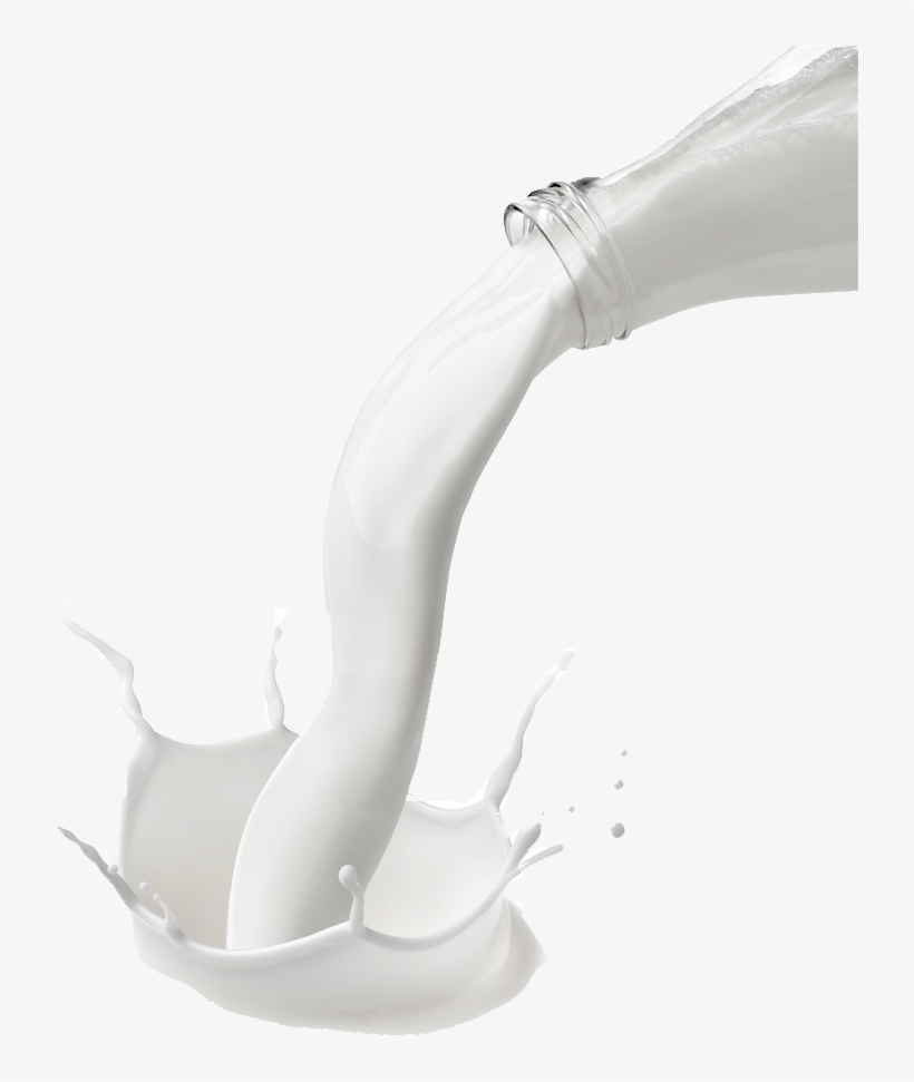 Still Life Photography, transparent png download