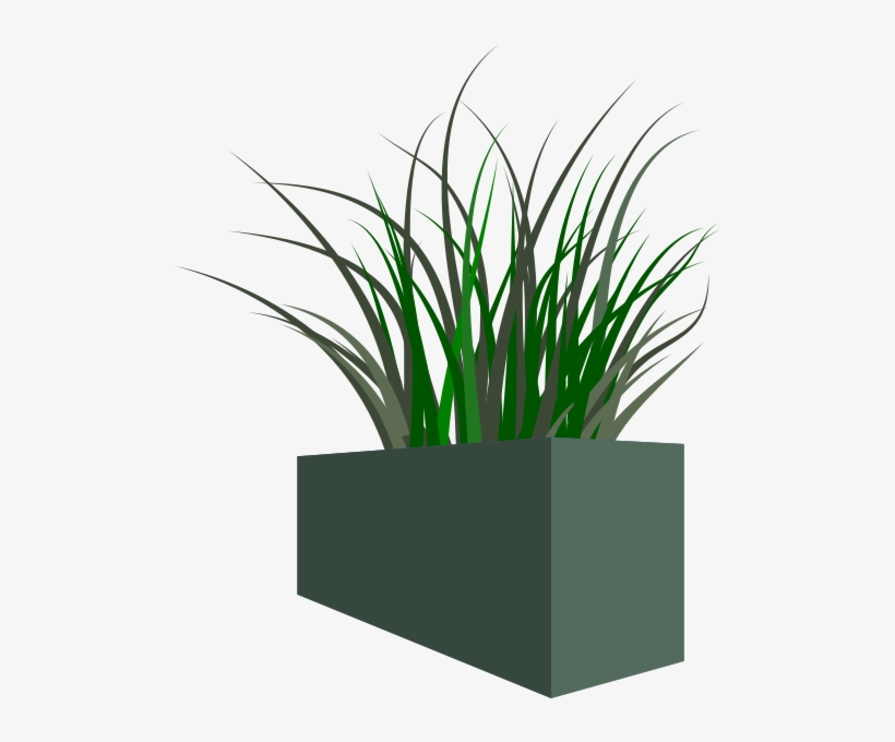 Sea Grass Clipart Tall - Planter Clip Art, transparent png download