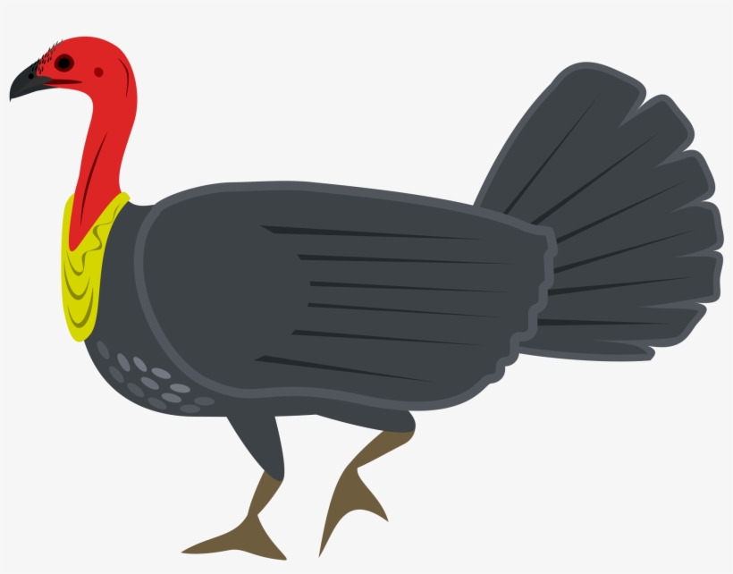 Australian Brush-turkey Icons Png - Bush Turkey Png, transparent png download
