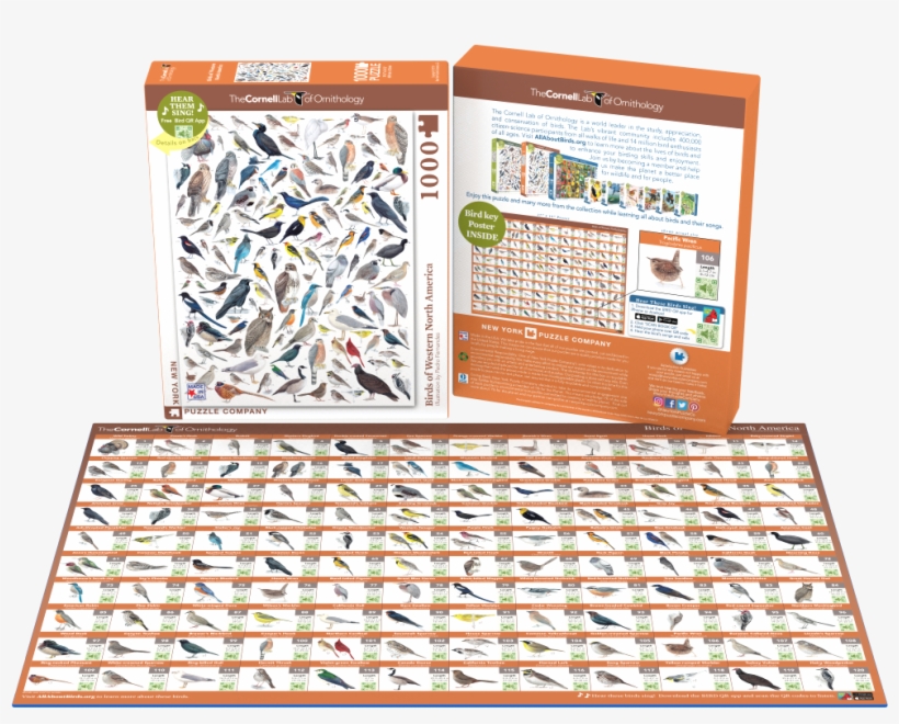 Birds Of North America Puzzles - New York Puzzle Company Birds Of Eastern/central North, transparent png download