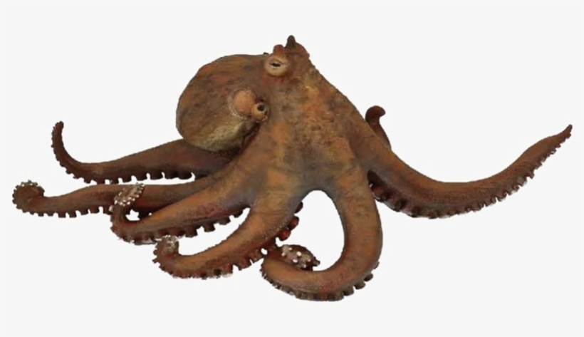 Octopus Png Transparent Picture - Octopus Papo, transparent png download