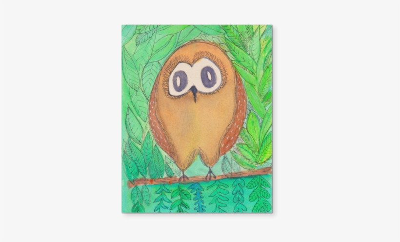 Baby Owl - Owl, transparent png download