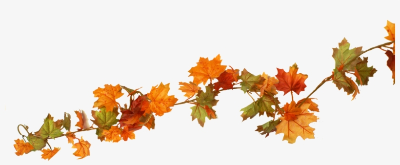 Ben Franklin Crafts And Frame Shop Monroe - Maple Leaf, transparent png download