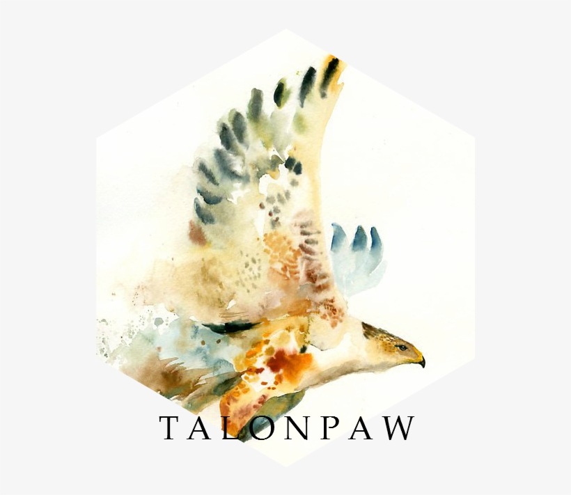 Talonpawbanner© - Hawk, transparent png download