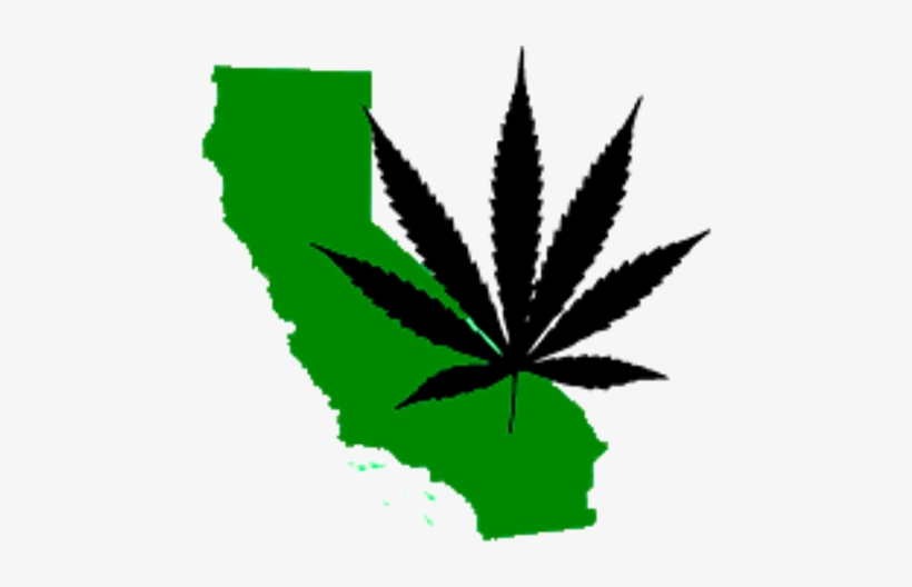 California Has No Clue How Much Money It's Making From - Pot Leaf, transparent png download