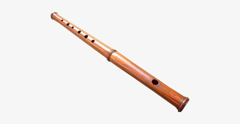 Flute Png - Łodzikowate Głowonogi, transparent png download