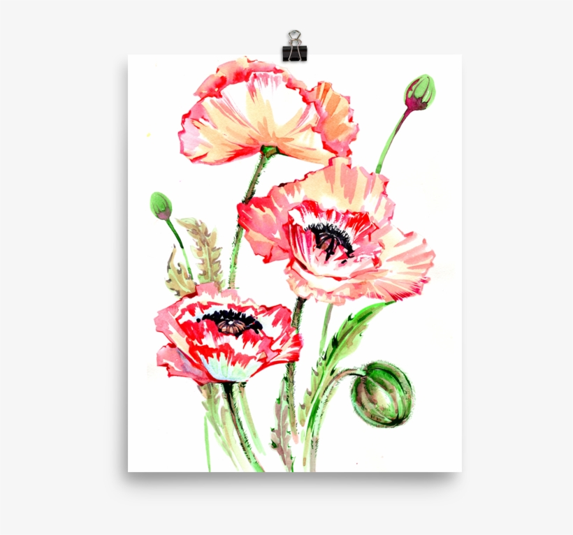 Bright And Floral Poppy Watercolour Matte Poster - Watercolor Painting, transparent png download