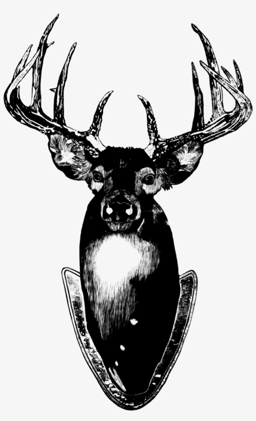 Deer - Tattly Stag Head Card & Temporary Tattoo, Only, transparent png download