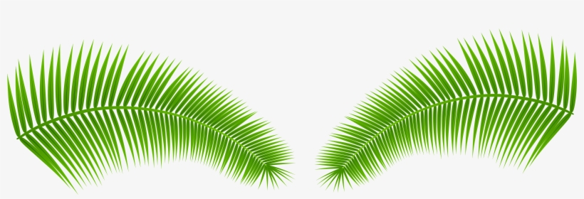 Palm Leaves Transparent Png Clip Art Image, transparent png download