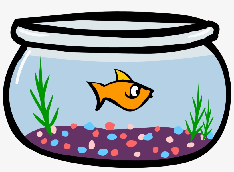 Png - Fish In A Bowl Png, transparent png download
