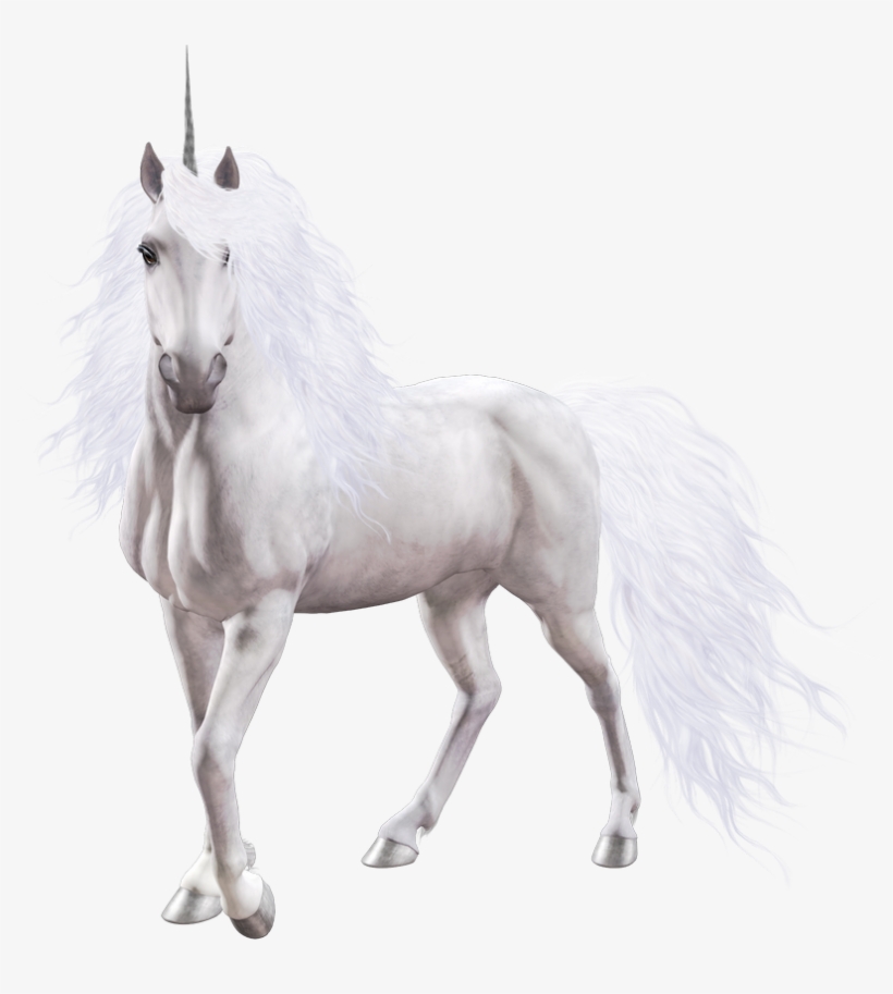 Magical History Of Unicorns (gothic Dreams), transparent png download