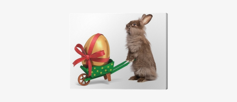Funny Easter Rabbit With A Green Wheelbarrow And Golden - Easter Bunny With Golden Eggs, transparent png download
