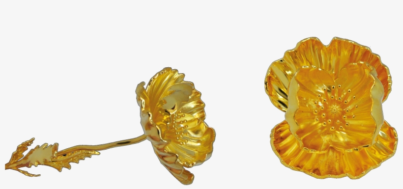 Earrings, transparent png download