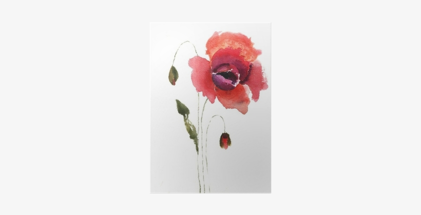 Watercolor Illustration Of Red Poppy Flower Poster - Hobbitholeco 'red Tall Flowers Ii' Multicolored Canvas, transparent png download