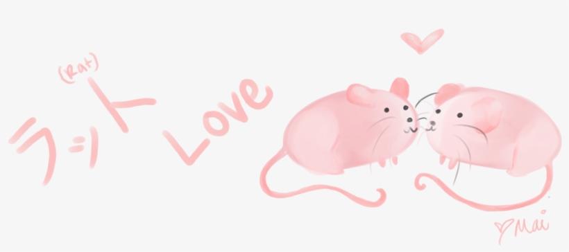 Rat, transparent png download