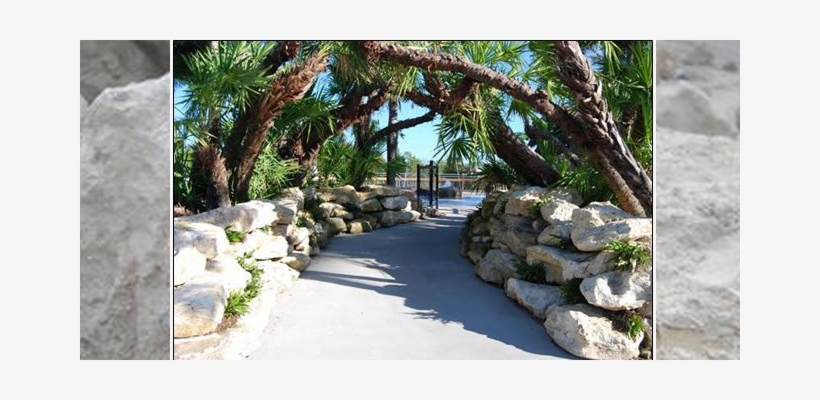 Gardens Naples, transparent png download