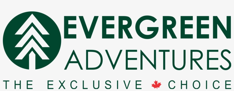 Home - Calendário Fevereiro 2019 Para Imprimir, transparent png download