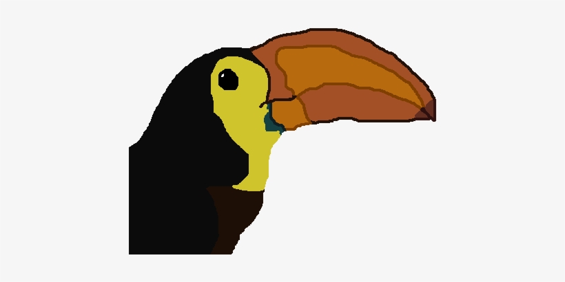 Taylor's Toucan Head - Toucan Head Png, transparent png download