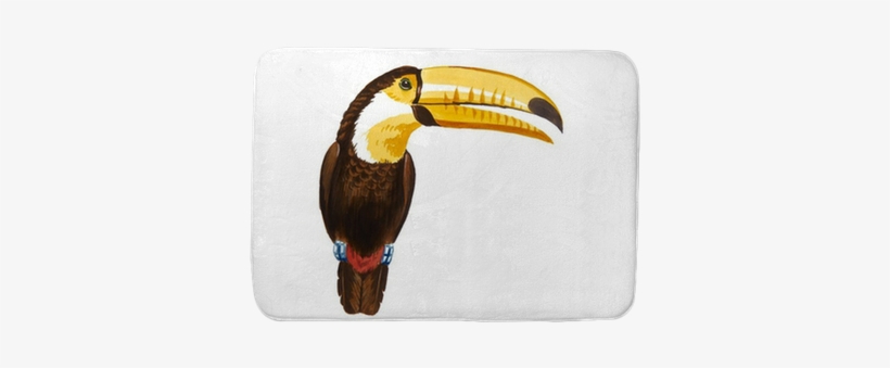 Color Illustration Of Toucan In Watercolor Paintings - Watercolor Painting, transparent png download