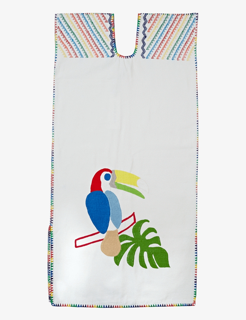 Scrub Jay, transparent png download