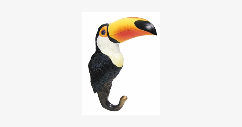 Toucan Wall Hook - Wall, transparent png download