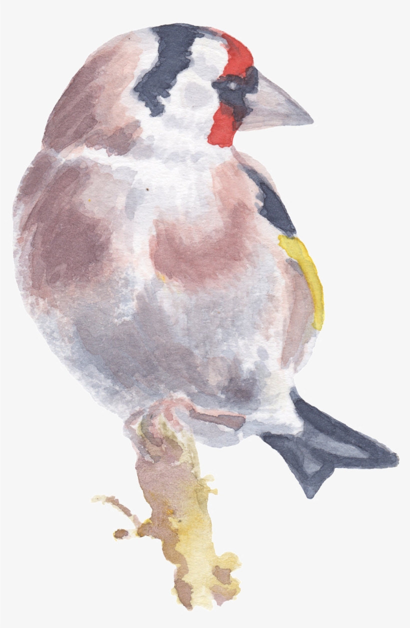 Birds Standing On A Tree Trunk Watercolor Transparent - Watercolor Painting, transparent png download
