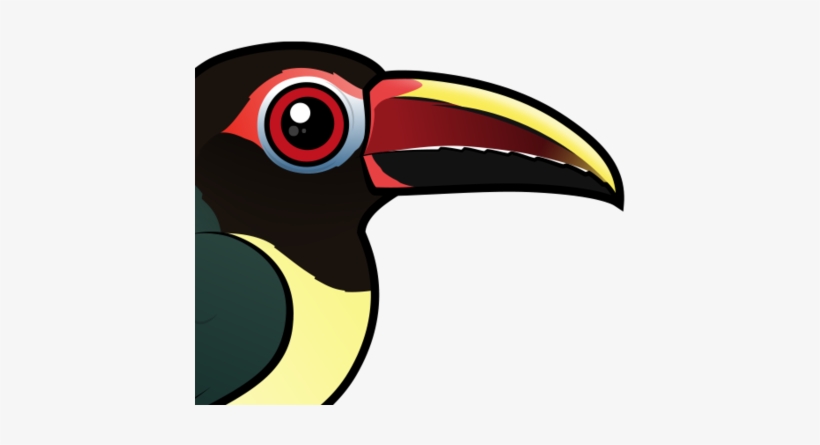 The Green Aracari Is A Toucan That Lives In Northeastern - Green Aracari, transparent png download