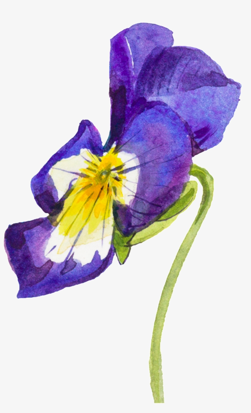 Purple Hand Painted Flowers Watercolor Transparent - Flower, transparent png download