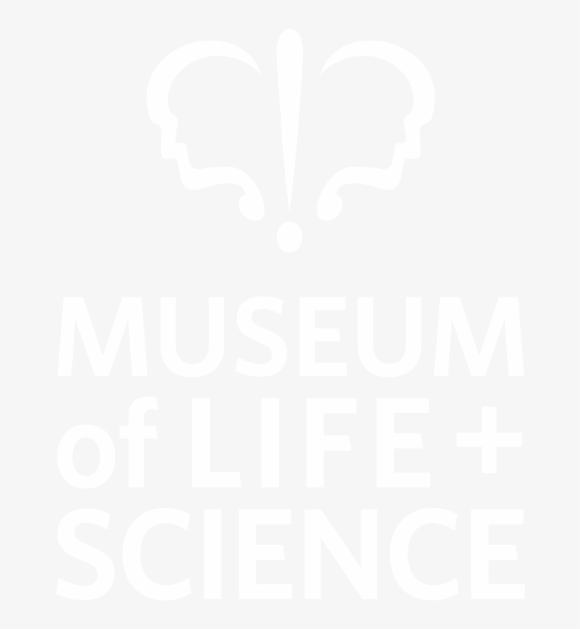 Summer Camp 2018 - Scientist Cv Raman, transparent png download