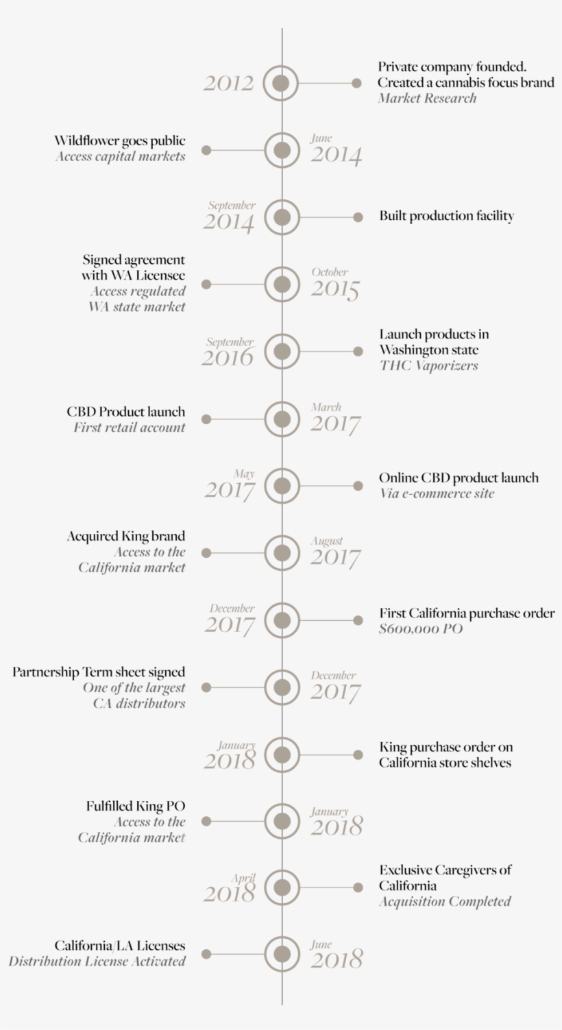 Timeline-04 - Portable Network Graphics, transparent png download