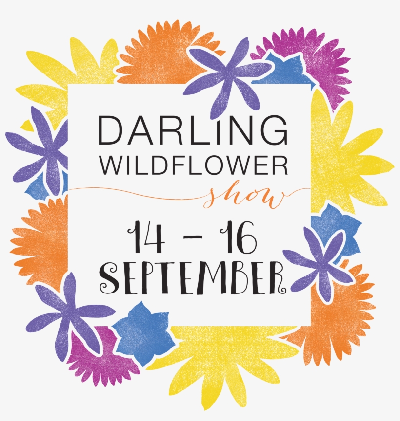Book Tickets For Darling Wildflower Show - Darling Wildflower Show, transparent png download