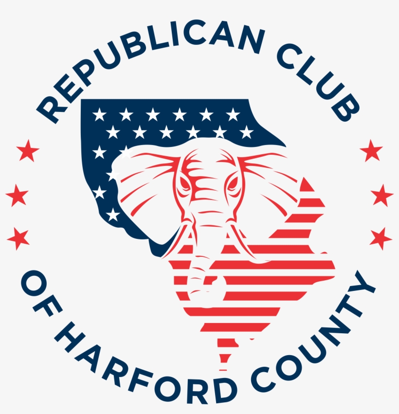 Final Files Png - Non-governmental Organization, transparent png download