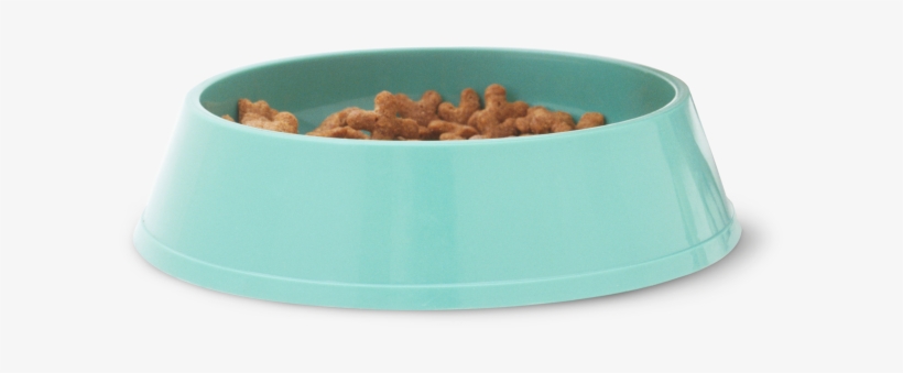 Cat Bowl Png - Bowl, transparent png download