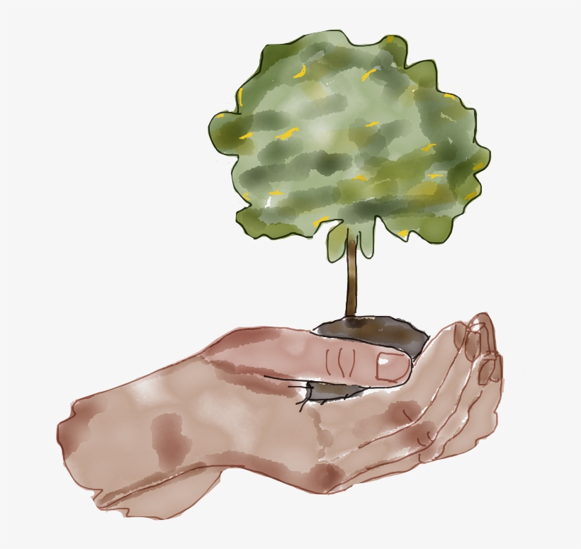 Hay Reforestador@s En Muchos Sitios Y Cada Día Se Nos - Illustration, transparent png download