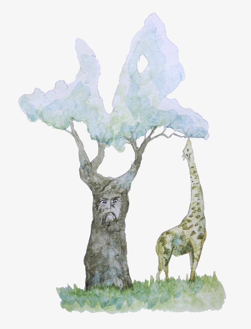 Jirafa 2014 - - Giraffe, transparent png download