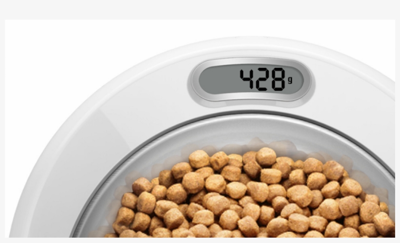 Petkit - Joy Collection Pecs Petkit Small Pet Pats Intelligent, transparent png download