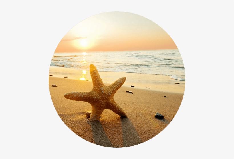 A Pochi Passi Dall'hotel Arabesco, I Nostri Ospiti - Couche De Soleil Mer, transparent png download