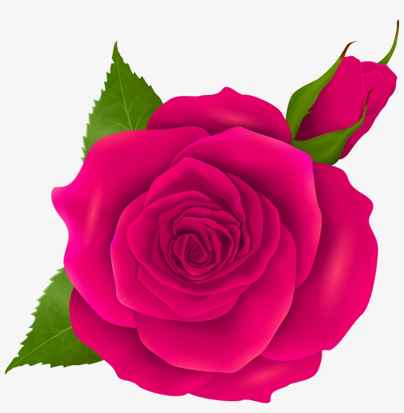 Blue Roses Transparent, transparent png download