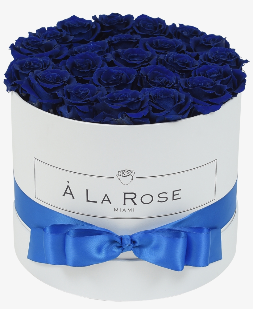Royal Blue Roses - Rose, transparent png download