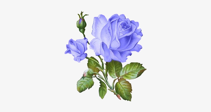 F - Decoupage Rose, transparent png download